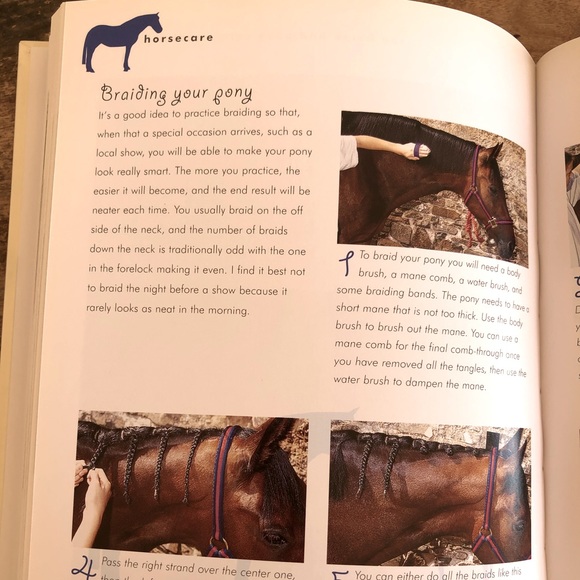 THE HORSE & PONY CARE HANDBOOK by Amanda Lang🏇🏇 - Picture 8 of 12